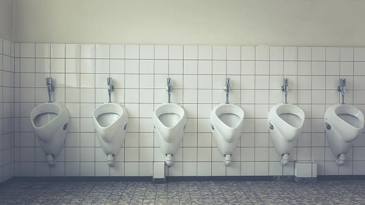 Fazer Muito Xixi É Normal? Descubra Se o Seu Corpo Está Tentando Te Avisar Algo!